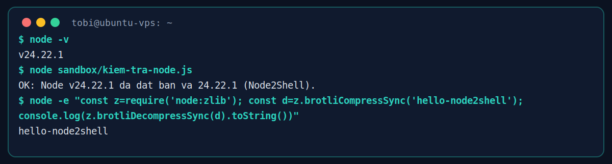 Ảnh terminal chạy lệnh node -v và script kiểm tra phiên bản Node.js trên máy Ubuntu giả lập, kết quả đã vá