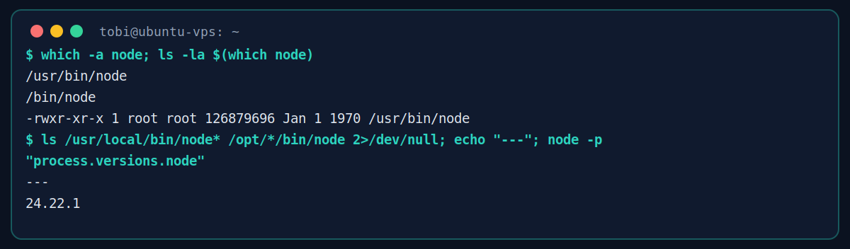 Ảnh terminal liệt kê các vị trí cài đặt Node.js trên máy Ubuntu giả lập để rà soát bản chưa vá
